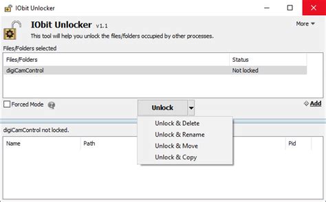 Portable IObit Unlocker 1.1 Free Download